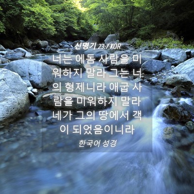 Picture 04 - 신명기 23:7 KOR - 너는 에돔 사람을 미워하지 말라 - Bible Verse Picture