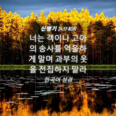 Picture 04 - 신명기 24:17 KOR - 너는 객이나 고아의 송사를 억울하게 - Bible Verse Picture