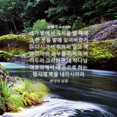 Picture 04 - 신명기 24:19 KOR - 네가 밭에서 곡식을 벨 때에 그 한 - Bible Verse Picture