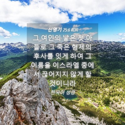 Picture 04 - 신명기 25:6 KOR - 그 여인의 낳은 첫 아들로 그 죽은 - Bible Verse Picture