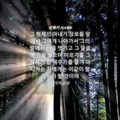 Picture 04 - 신명기 25:9 KOR - 그 형제의 아내가 장로들 앞에서 - Bible Verse Picture