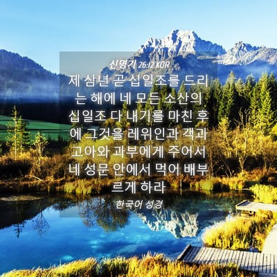 Picture 04 - 신명기 26:12 KOR - 제 삼년 곧 십일조를 드리는 해에 네 - Bible Verse Picture
