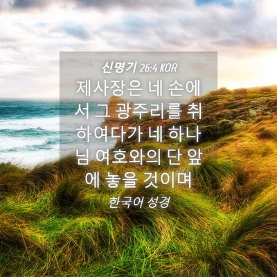 Picture 04 - 신명기 26:4 KOR - 제사장은 네 손에서 그 광주리를 - Bible Verse Picture