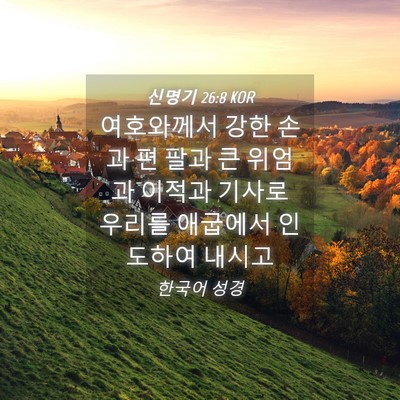 Picture 04 - 신명기 26:8 KOR - 여호와께서 강한 손과 편 팔과 큰 - Bible Verse Picture