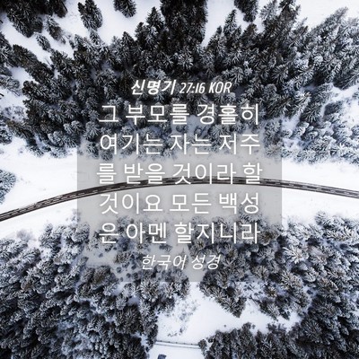 Picture 04 - 신명기 27:16 KOR - 그 부모를 경홀히 여기는 자는 - Bible Verse Picture