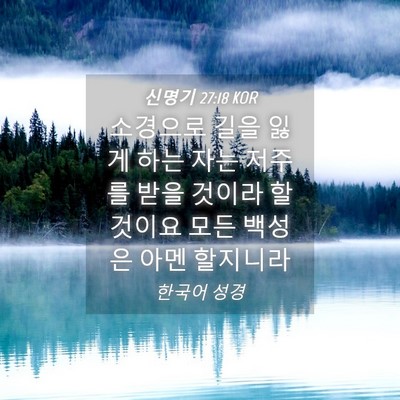 Picture 04 - 신명기 27:18 KOR - 소경으로 길을 잃게 하는 자는 - Bible Verse Picture