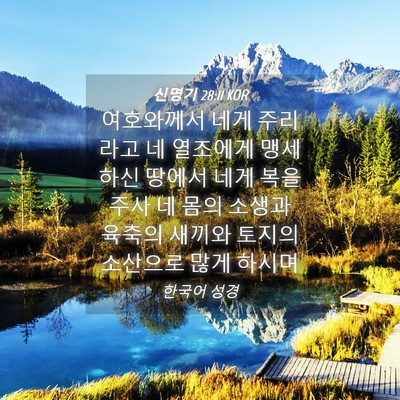 Picture 04 - 신명기 28:11 KOR - 여호와께서 네게 주리라고 네 - Bible Verse Picture