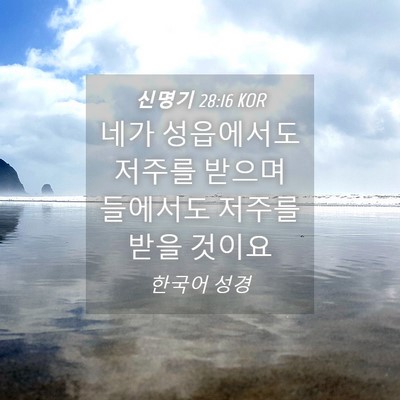 Picture 04 - 신명기 28:16 KOR - 네가 성읍에서도 저주를 받으며 - Bible Verse Picture