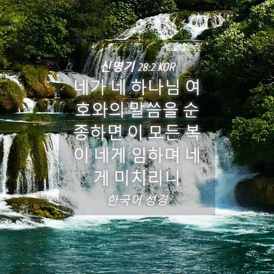 Picture 04 - 신명기 28:2 KOR - 네가 네 하나님 여호와의 말씀을 - Bible Verse Picture