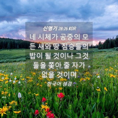 Picture 04 - 신명기 28:26 KOR - 네 시체가 공중의 모든 새와 땅 - Bible Verse Picture