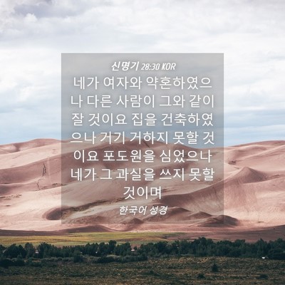 Picture 04 - 신명기 28:30 KOR - 네가 여자와 약혼하였으나 다른 - Bible Verse Picture