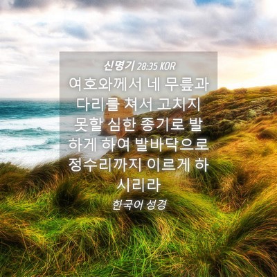 Picture 04 - 신명기 28:35 KOR - 여호와께서 네 무릎과 다리를 쳐서 - Bible Verse Picture