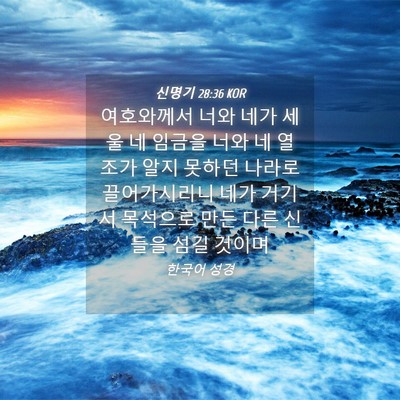 Picture 04 - 신명기 28:36 KOR - 여호와께서 너와 네가 세울 네 - Bible Verse Picture