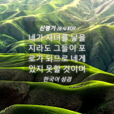 Picture 04 - 신명기 28:41 KOR - 네가 자녀를 낳을지라도 그들이 - Bible Verse Picture