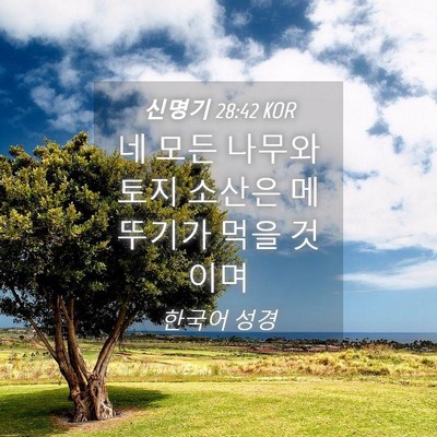 Picture 04 - 신명기 28:42 KOR - 네 모든 나무와 토지 소산은 - Bible Verse Picture