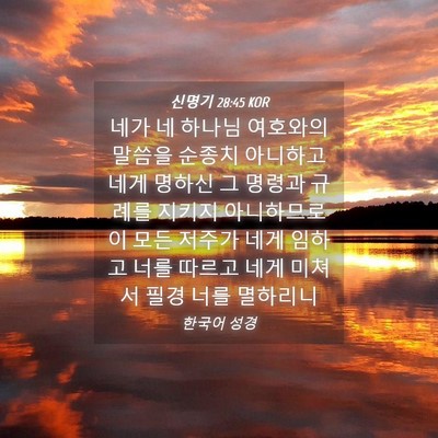 Picture 04 - 신명기 28:45 KOR - 네가 네 하나님 여호와의 말씀을 - Bible Verse Picture