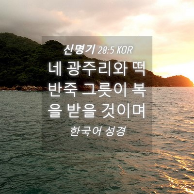 Picture 04 - 신명기 28:5 KOR - 네 광주리와 떡반죽 그릇이 복을 - Bible Verse Picture