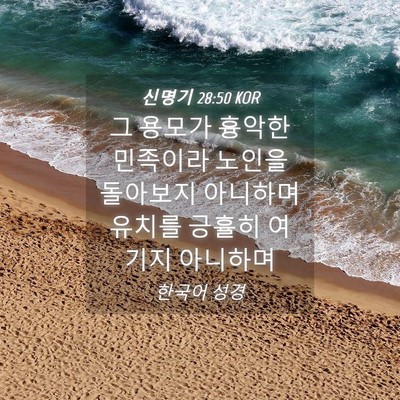 Picture 04 - 신명기 28:50 KOR - 그 용모가 흉악한 민족이라 노인을 - Bible Verse Picture