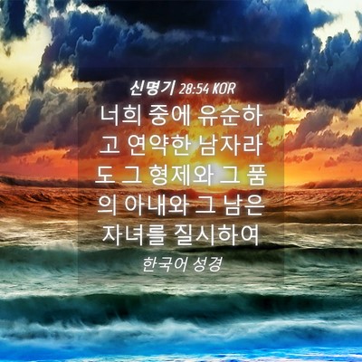 Picture 04 - 신명기 28:54 KOR - 너희 중에 유순하고 연약한 남자라도 - Bible Verse Picture