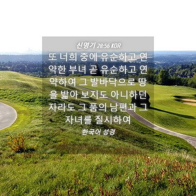 Picture 04 - 신명기 28:56 KOR - 또 너희 중에 유순하고 연약한 부녀 - Bible Verse Picture