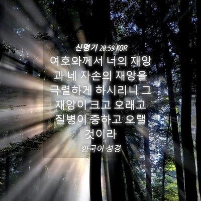 Picture 04 - 신명기 28:59 KOR - 여호와께서 너의 재앙과 네 자손의 - Bible Verse Picture