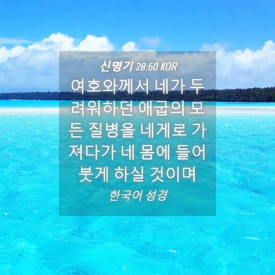 Picture 04 - 신명기 28:60 KOR - 여호와께서 네가 두려워하던 애굽의 - Bible Verse Picture