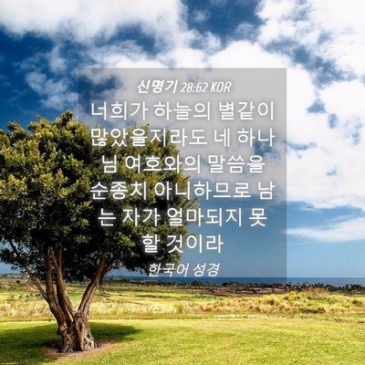 Picture 04 - 신명기 28:62 KOR - 너희가 하늘의 별같이 많았을지라도 - Bible Verse Picture
