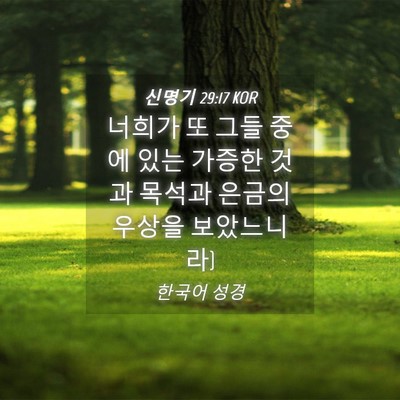 Picture 04 - 신명기 29:17 KOR - 너희가 또 그들 중에 있는 가증한 - Bible Verse Picture