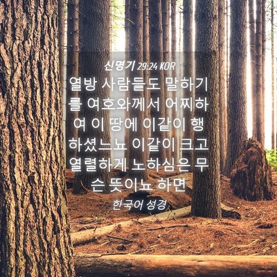 Picture 04 - 신명기 29:24 KOR - 열방 사람들도 말하기를 여호와께서 - Bible Verse Picture