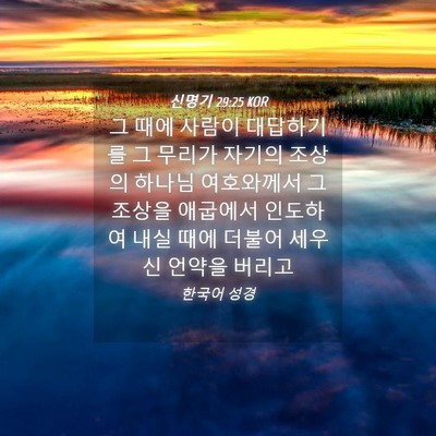 Picture 04 - 신명기 29:25 KOR - 그 때에 사람이 대답하기를 그 - Bible Verse Picture