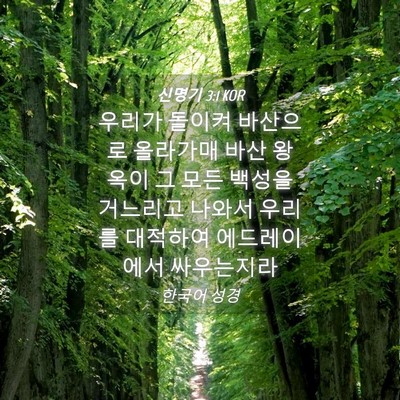 Picture 04 - 신명기 3:1 KOR - 우리가 돌이켜 바산으로 올라가매 - Bible Verse Picture