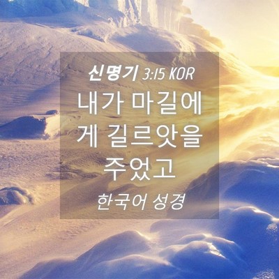 Picture 04 - 신명기 3:15 KOR - 내가 마길에게 길르앗을 - Bible Verse Picture