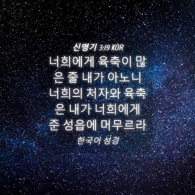 Picture 04 - 신명기 3:19 KOR - 너희에게 육축이 많은 줄 내가 - Bible Verse Picture