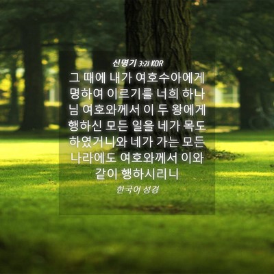 Picture 04 - 신명기 3:21 KOR - 그 때에 내가 여호수아에게 명하여 - Bible Verse Picture