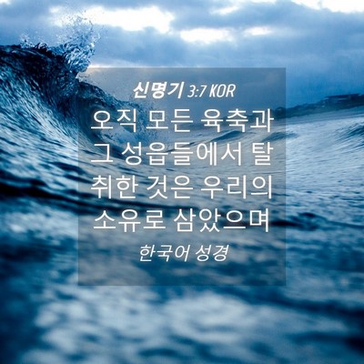 Picture 04 - 신명기 3:7 KOR - 오직 모든 육축과 그 성읍들에서 - Bible Verse Picture