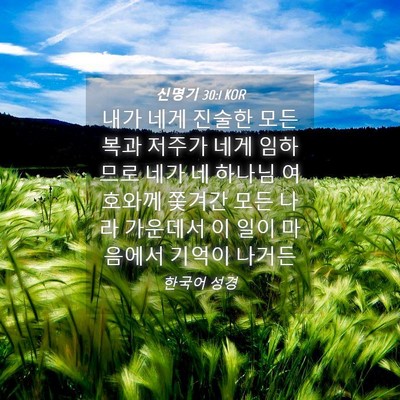 Picture 04 - 신명기 30:1 KOR - 내가 네게 진술한 모든 복과 저주가 - Bible Verse Picture