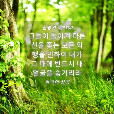 Picture 04 - 신명기 31:18 KOR - 그들이 돌이켜 다른 신을 좇는 모든 - Bible Verse Picture