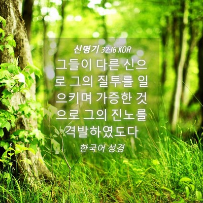 Picture 04 - 신명기 32:16 KOR - 그들이 다른 신으로 그의 질투를 - Bible Verse Picture