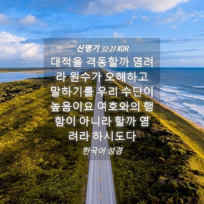 Picture 04 - 신명기 32:27 KOR - 대적을 격동할까 염려라 원수가 - Bible Verse Picture