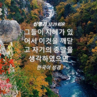 Picture 04 - 신명기 32:29 KOR - 그들이 지혜가 있어서 이것을 깨닫고 - Bible Verse Picture