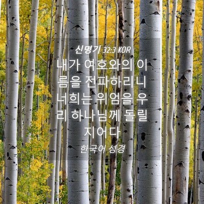 Picture 04 - 신명기 32:3 KOR - 내가 여호와의 이름을 전파하리니 - Bible Verse Picture