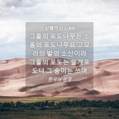 Picture 04 - 신명기 32:32 KOR - 그들의 포도나무는 소돔의 - Bible Verse Picture