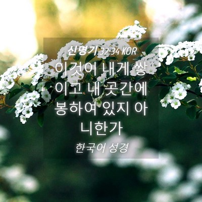 Picture 04 - 신명기 32:34 KOR - 이것이 내게 쌓이고 내 곳간에 - Bible Verse Picture