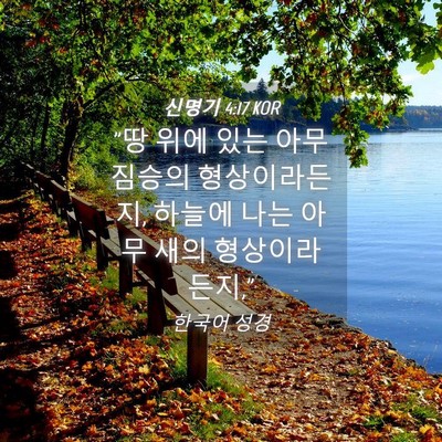 Picture 04 - 신명기 4:17 KOR - 