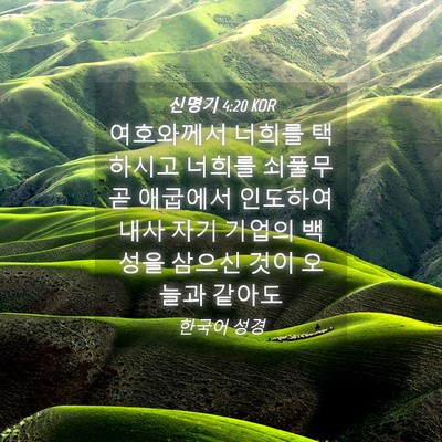 Picture 04 - 신명기 4:20 KOR - 여호와께서 너희를 택하시고 너희를 - Bible Verse Picture