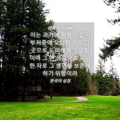 Picture 04 - 신명기 4:42 KOR - 이는 과거에 원혐이 없이 부지중에 - Bible Verse Picture