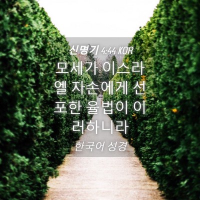 Picture 04 - 신명기 4:44 KOR - 모세가 이스라엘 자손에게 선포한 - Bible Verse Picture