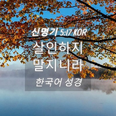 Picture 04 - 신명기 5:17 KOR - 살인하지 - Bible Verse Picture