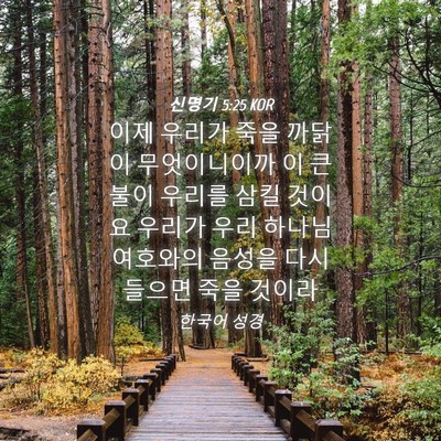 Picture 04 - 신명기 5:25 KOR - 이제 우리가 죽을 까닭이 - Bible Verse Picture