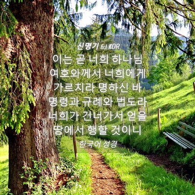 Picture 04 - 신명기 6:1 KOR - 이는 곧 너희 하나님 여호와께서 - Bible Verse Picture